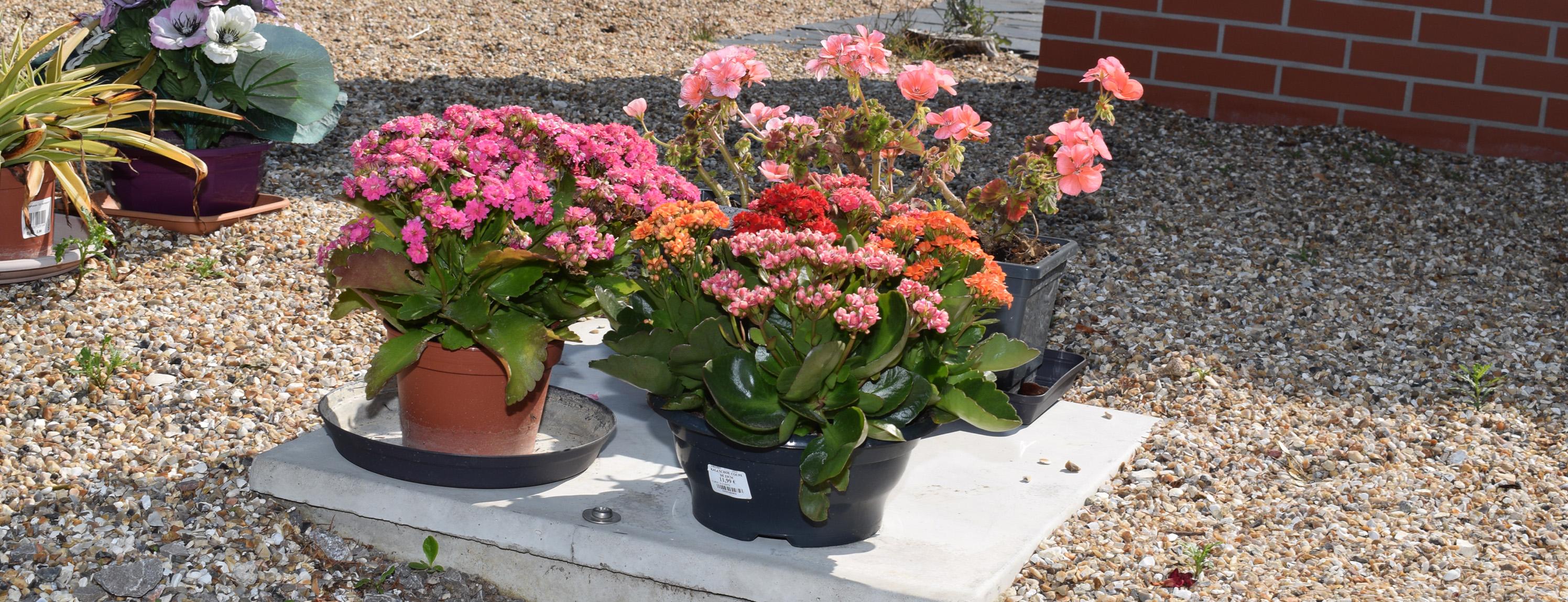 Jardin d'urnes PetitCouronne