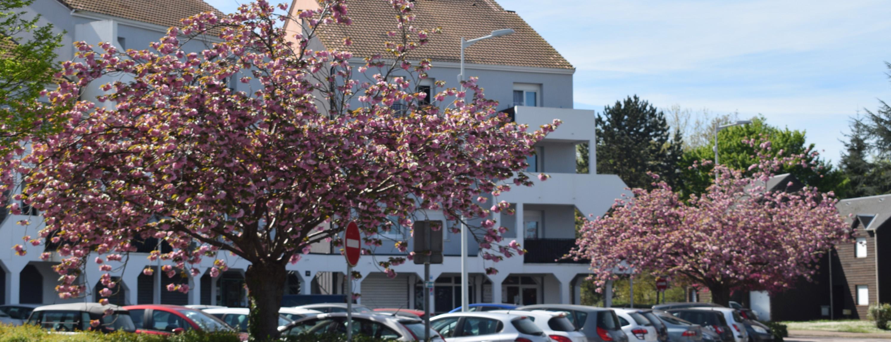 petit-couronne-voit-la-vie-en-rose-petit-couronne
