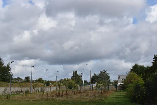 Laboratoire de la biodiversité